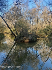 Hunting and Recreational Land for Sale in Amite County, Miss - image 7
