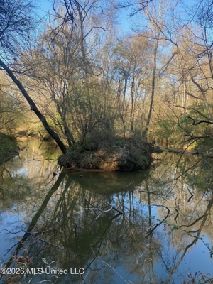Hunting and Recreational Land for Sale in Amite County, Miss