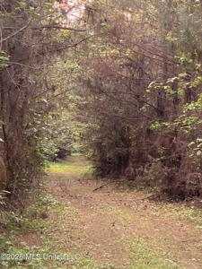 Hunting and Recreational Land for Sale in Amite County, Miss - image 27