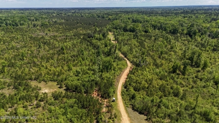 Hunting and Recreational Land for Sale in Amite County, Miss - image 36