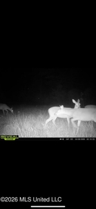 Hunting and Recreational Land for Sale in Amite County, Miss - image 44