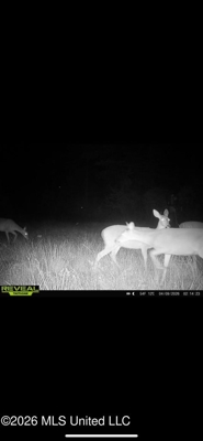 Hunting and Recreational Land for Sale in Amite County, Miss