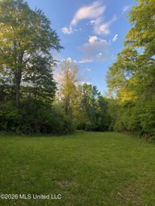 Hunting and Recreational Land for Sale in Amite County, Miss - image 26