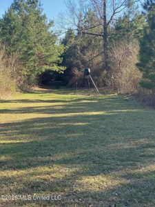 Hunting and Recreational Land for Sale in Amite County, Miss - image 21
