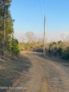 Hunting and Recreational Land for Sale in Amite County, Miss - image 8