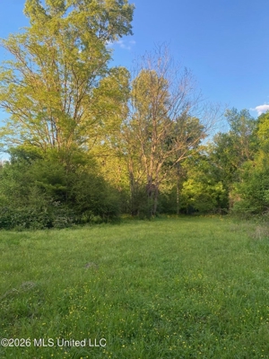 Hunting and Recreational Land for Sale in Amite County, Miss