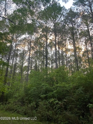 Hunting and Recreational Land for Sale in Amite County, Miss