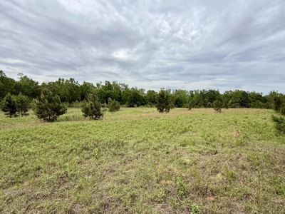 50 Acres Dillard Road, Pansey, Alabama - image 8