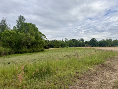 50 Acres Dillard Road, Pansey, Alabama - image 2