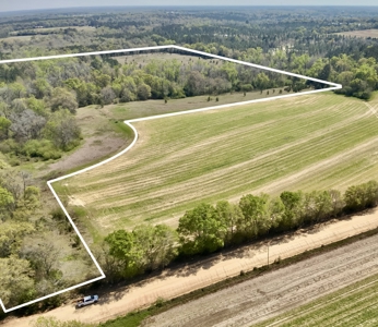 50 Acres Dillard Road, Pansey, Alabama - image 1