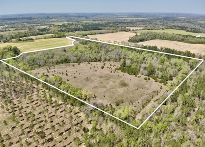 50 Acres Dillard Road, Pansey, Alabama - image 9