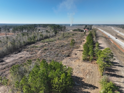Great Location - Raw Land For Sale on Interstate-16 - image 14
