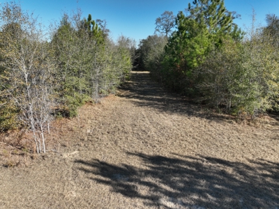 Great Location - Raw Land For Sale on Interstate-16 - image 16