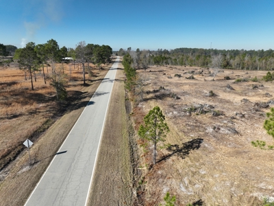 Great Location - Raw Land For Sale on Interstate-16 - image 18