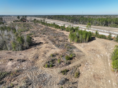 Great Location - Raw Land For Sale on Interstate-16 - image 11