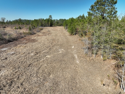 Great Location - Raw Land For Sale on Interstate-16 - image 17