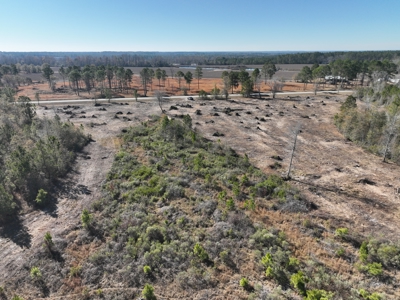 Great Location - Raw Land For Sale on Interstate-16 - image 13