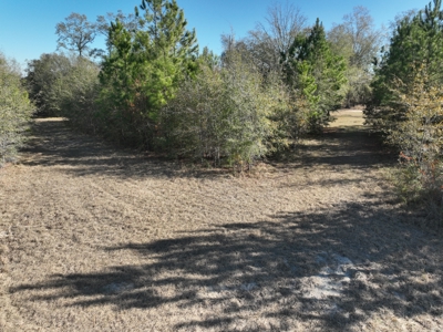 Great Location - Raw Land For Sale on Interstate-16 - image 15