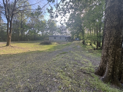 Country Home for Sale in Perry County, Tennessee - image 3