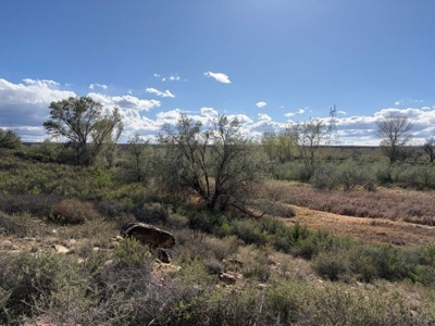 188± Acres| BLM-Adjacent Ranch | Western Colorado Legacy Property - image 7