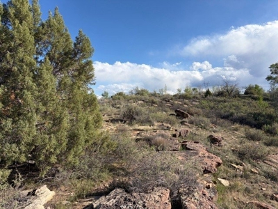 188± Acres| BLM-Adjacent Ranch | Western Colorado Legacy Property - image 19