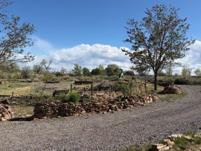 188± Acres| BLM-Adjacent Ranch | Western Colorado Legacy Property - image 5
