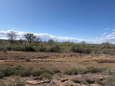 188± Acres| BLM-Adjacent Ranch | Western Colorado Legacy Property - image 6