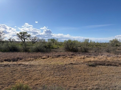 188± Acres| BLM-Adjacent Ranch | Western Colorado Legacy Property - image 18