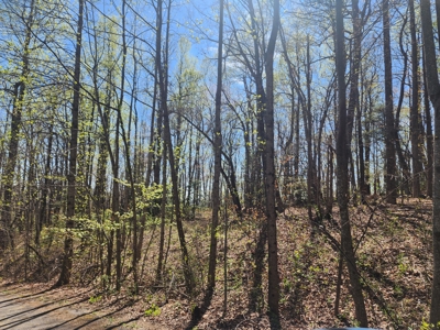 Antigua Lots 7–10 – Build or Develop Opportunity - image 6