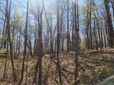 Antigua Lots 7–10 – Build or Develop Opportunity - image 7