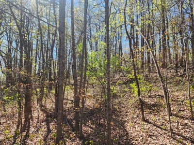 Antigua Lots 7–10 – Build or Develop Opportunity - image 2