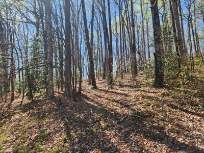 Antigua Lots 7–10 – Build or Develop Opportunity - image 11