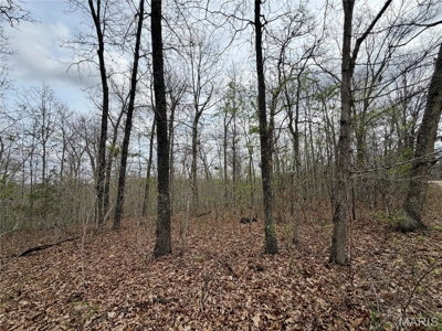 20 ± Acre Tract for Sale in Salem, Missouri - image 3