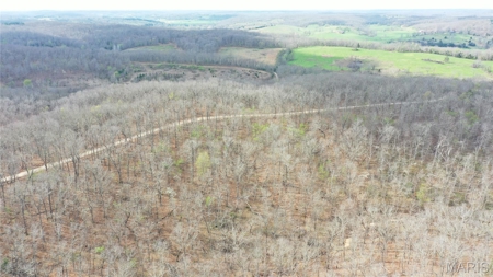 20 ± Acre Tract for Sale in Salem, Missouri - image 5