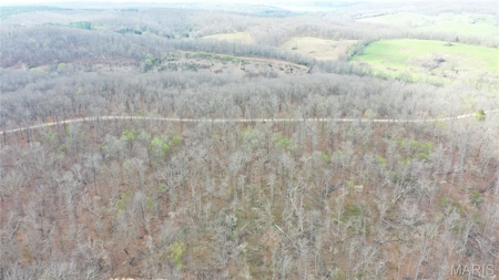 20 ± Acre Tract for Sale in Salem, Missouri - image 4