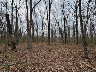 20 ± Acre Tract for Sale in Salem, Missouri - image 2