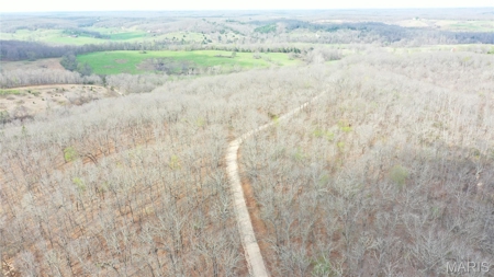 20 ± Acre Tract for Sale in Salem, Missouri - image 6