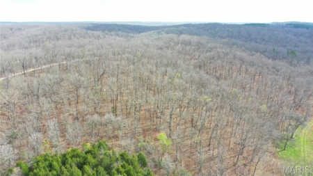 20 ± Acre Tract for Sale in Salem, Missouri - image 8