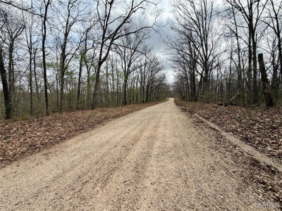 20 ± Acre Tract for Sale in Salem, Missouri - image 1