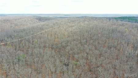 20 ± Acre Tract for Sale in Salem, Missouri - image 7