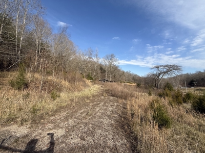 8.87± Acres Near TN River with Pad, Well & Septic - image 1