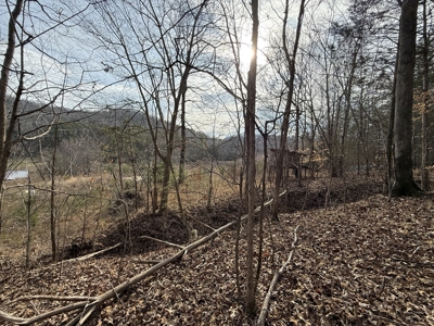 8.87± Acres Near TN River with Pad, Well & Septic - image 13