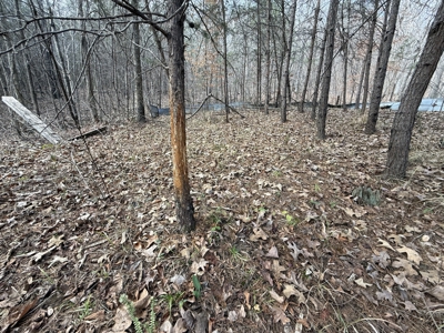 8.87± Acres Near TN River with Pad, Well & Septic - image 16