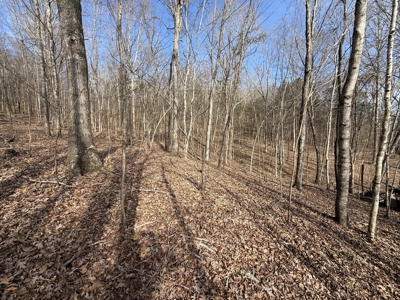 8.87± Acres Near TN River with Pad, Well & Septic - image 14