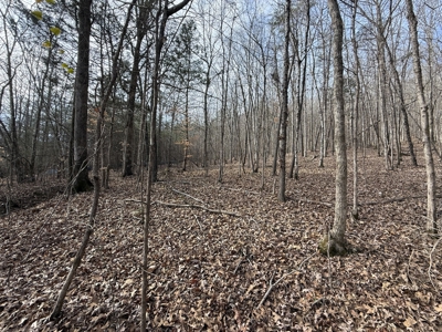 8.87± Acres Near TN River with Pad, Well & Septic - image 12
