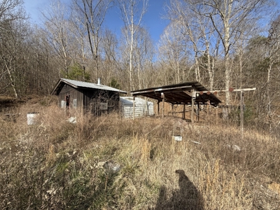 8.87± Acres Near TN River with Pad, Well & Septic - image 7