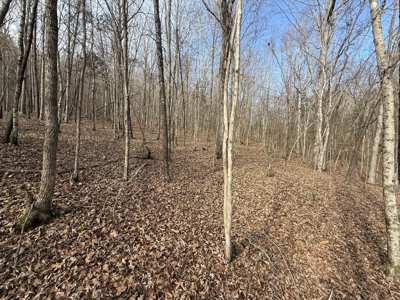 8.87± Acres Near TN River with Pad, Well & Septic - image 11