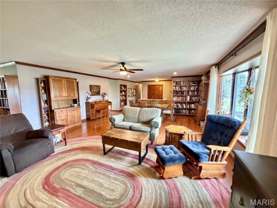 3 Bedroom Home with Land and Cabin for Sale in Salem, Missouri - image 4