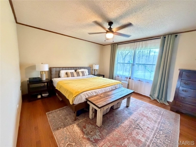 3 Bedroom Home with Land and Cabin for Sale in Salem, Missouri - image 11