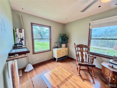 3 Bedroom Home with Land and Cabin for Sale in Salem, Missouri - image 14